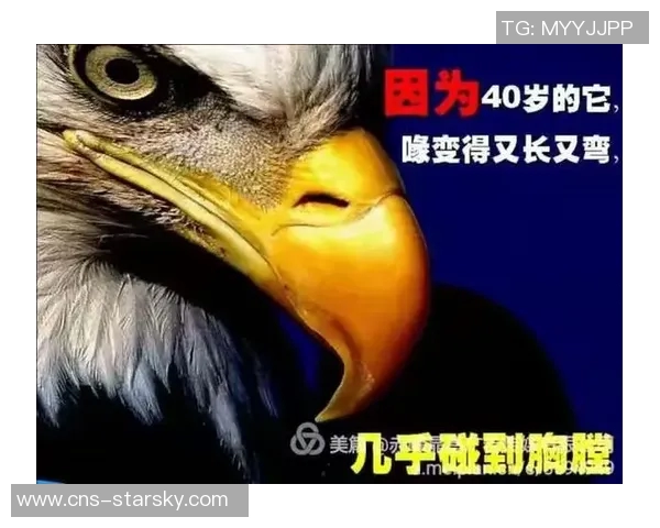 18岁与29岁之间的成长与蜕变探索人生不同阶段的心路历程 18岁与29岁之间的成长与蜕变探索人生不同阶段的心路历程